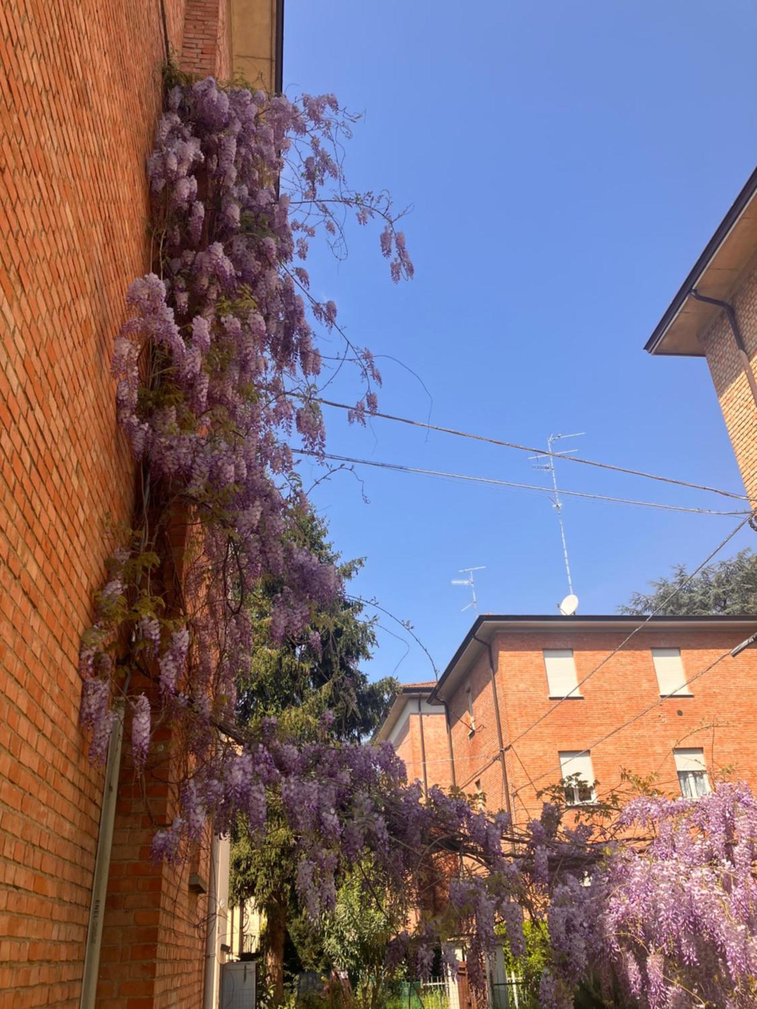 Rossena Home Tranquillo Appartamento, Con Giardino, Vicino Al Centro Ed All'Ospedale Santa Maria Nuova Smn Reggio nell'Emilia Esterno foto