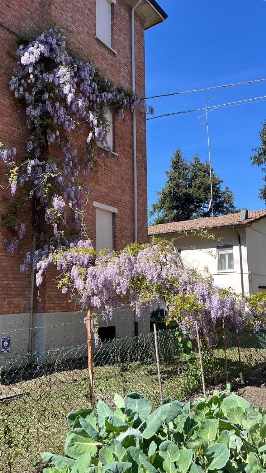 Rossena Home Tranquillo Appartamento, Con Giardino, Vicino Al Centro Ed All'Ospedale Santa Maria Nuova Smn Reggio nell'Emilia Esterno foto