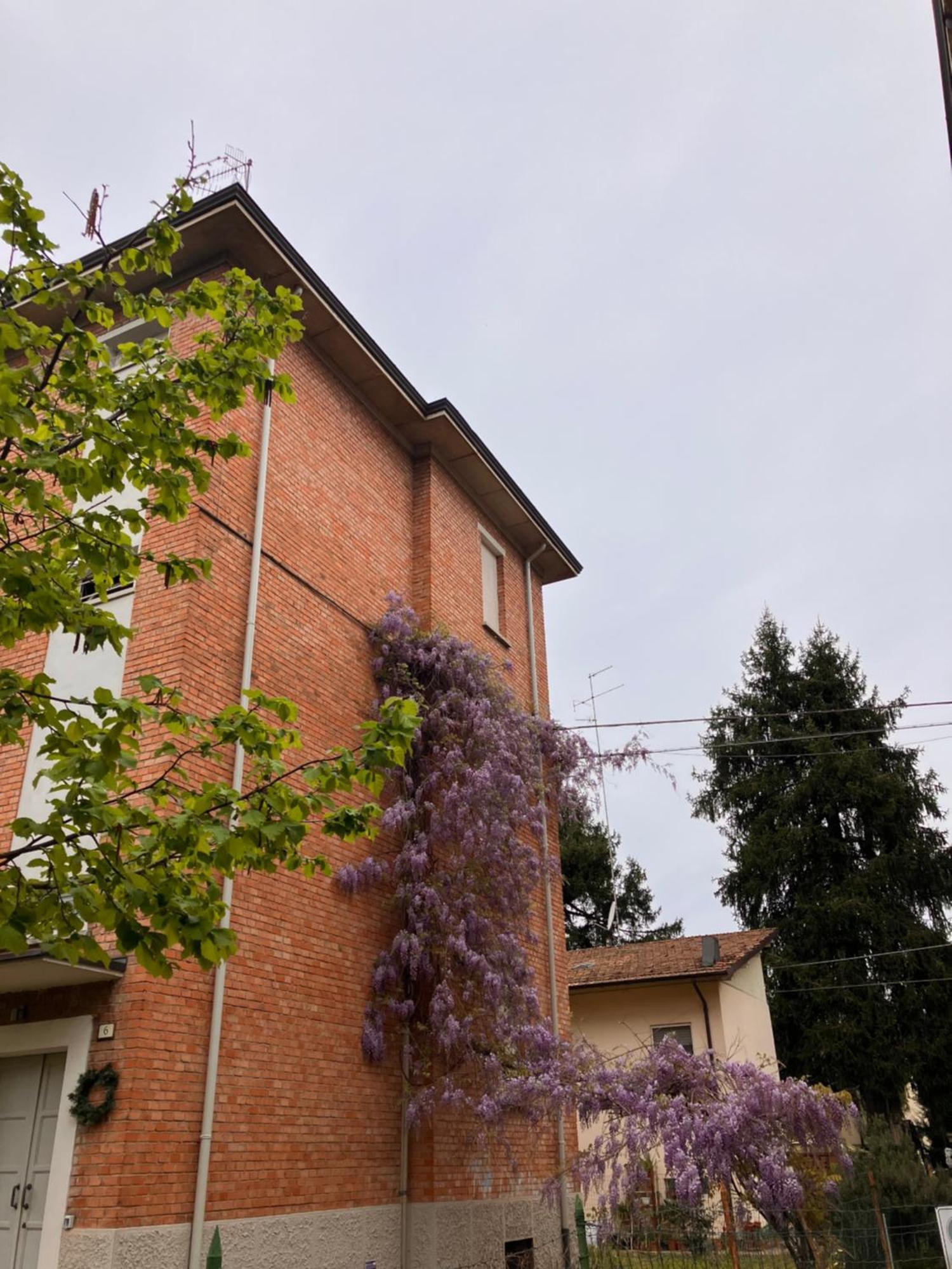Rossena Home Tranquillo Appartamento, Con Giardino, Vicino Al Centro Ed All'Ospedale Santa Maria Nuova Smn Reggio nell'Emilia Esterno foto